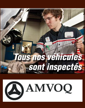 AMVOQ AMVOQ